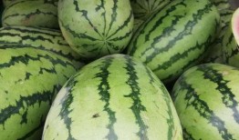 新疆吃瓜事件视频下载,视频揭秘背后的真相与争议