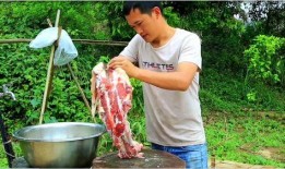 大瓜吃牛骨头视频播放全集,全程揭秘美食挑战极限