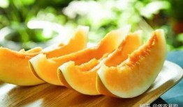 蜜瓜板怎么吃才好吃视频