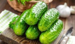 女人吃酸瓜视频播放大全,女人吃酸瓜视频大全精选回顾