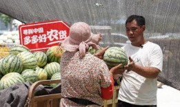 农村老娘子吃瓜视频下载,揭秘乡村生活趣味瞬间