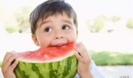 吃瓜狗头君拜年视频