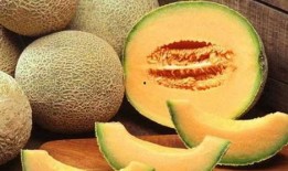 牧民吃哈密瓜视频大全集