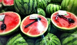 小黄峰吃瓜视频,揭秘娱乐圈幕后故事