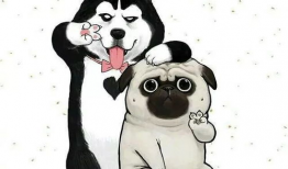 吃瓜狗头君拜年视频