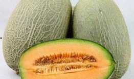 牧民吃哈密瓜视频大全集