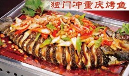 柯基吃烤鱼吃瓜视频大全,烤鱼吃瓜，欢乐无限视频集锦