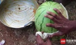 印度老人吃红瓜视频大全,探寻传统风味与生活智慧