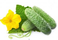 吃海南酸瓜视频教程大全,视频教程大全解析