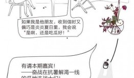 朝阳区吃瓜群众视频播放,揭秘热门视频背后的故事