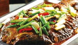 柯基吃烤鱼吃瓜视频大全,烤鱼吃瓜，欢乐无限视频集锦