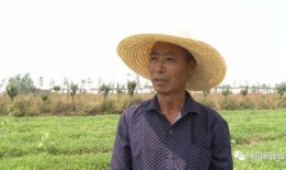 沭阳吃瓜最新消息新闻视频,揭秘事件背后真相