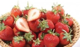 董老师吃瓜草莓视频大全,草莓视频大全集锦