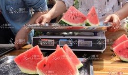 山东东营吃瓜事件视频,一场网络热议背后的真相揭秘