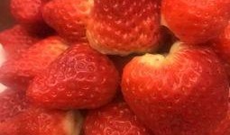 董老师吃瓜草莓视频大全,草莓视频大全集锦