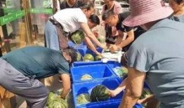 魏县水城吃瓜事件视频,一场引发热议的网络风波