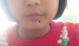 带你吃瓜吃货主播视频,跟随吃货主播探索美食世界