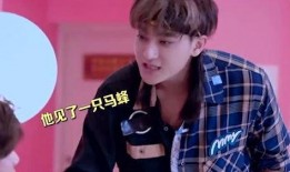 大老师吃瓜鹿晗视频全集,揭秘明星幕后故事，视频全集大揭秘