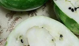 东北真实吃瓜视频下载,揭秘东北特色美食背后的故事