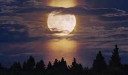 月光18度吃瓜视频下载,揭秘吃瓜视频背后的下载奥秘