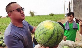 南宁吃瓜新闻最新视频,视频揭秘事件真相，网友热议不断