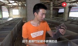 马浩然吃瓜视频