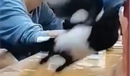 河北女的吃瓜事件视频播放,视频播放引发网友热议