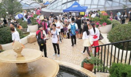 东湖公园吃瓜群众视频大全,趣味横生的日常瞬间大盘点