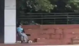 学校吃瓜视频都是谁拍的,揭秘校园吃瓜视频背后的神秘拍客