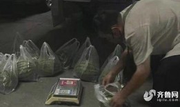 山东东营吃瓜事件视频,一场网络热议背后的真相揭秘