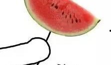 台湾情侣吃瓜图片视频