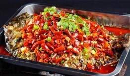 柯基吃烤鱼吃瓜视频大全,烤鱼吃瓜，欢乐无限视频集锦