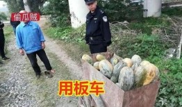 湘潭野外吃瓜事件真相视频,揭秘真相与背后故事