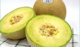 宝宝吃哈密瓜歌曲视频,哈密瓜歌曲视频萌动来袭