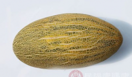 哈密瓜吃有什么用处吗视频,美味与健康的完美结合