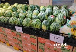 打钱的吃瓜群众视频,视频背后的惊人真相