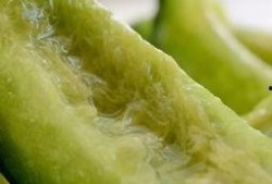 吃瓜东北老妹儿视频,趣味横生，笑料百出