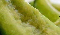 吃瓜东北老妹儿视频,趣味横生，笑料百出