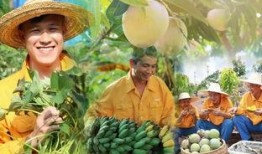 吃鸡瓜养人吗能吃吗视频,揭秘其营养价值与食用安全