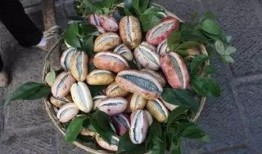 八月瓜怎么抄着吃视频教程