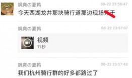 吃瓜男女区别视频下载,视频下载背后的性别差异解析