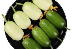 佛瓜怎么吃才最好吃呢视频,解锁最佳食用秘诀