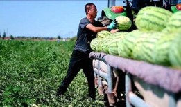 莱州市沙河镇木木吃瓜视频