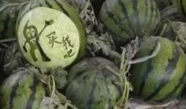 滨州吃瓜网红是谁啊视频,揭秘网红背后的故事