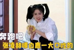 白鹿吃瓜笑死人视频大全,视频大全带你欢乐翻滚