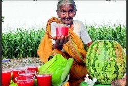 印度老人吃红瓜视频大全,探寻传统风味与生活智慧