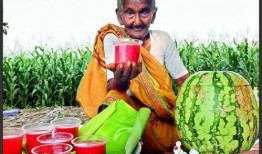 印度老人吃红瓜视频大全,探寻传统风味与生活智慧