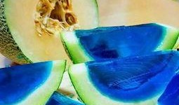 给小兔子吃哈密瓜视频播放,哈密瓜美食分享