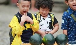 爸爸与萌娃吃瓜视频大全,亲子时光温馨瞬间大盘点