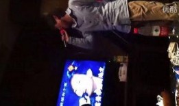 小姐姐吃瓜歌曲视频,小姐姐带你领略音乐与美食的完美融合